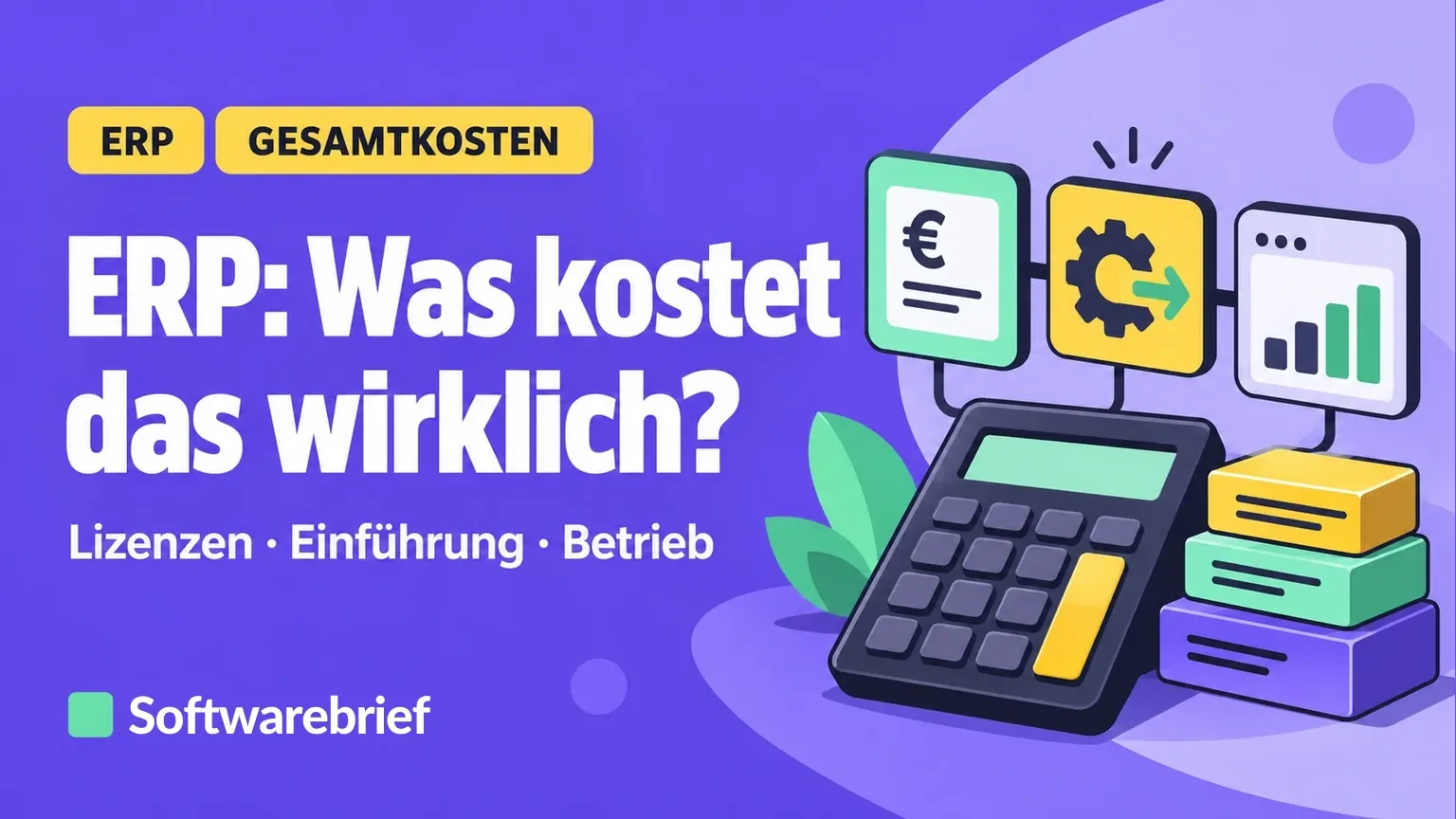 ERP: Was kostet das wirklich? – Lizenzen, Einführung und Betrieb kalkulieren.